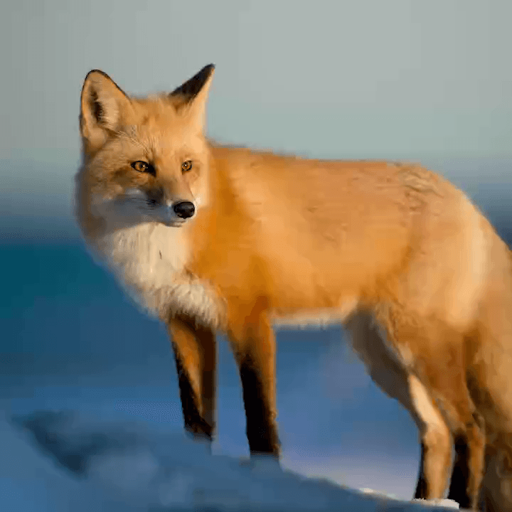 Reference mode before